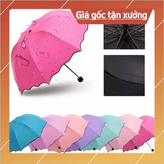 [HOT+FREE SHIP] Ô dù ma thuật gặp nước nở hoa chống tia UV nhiều màu giao ngẫu nhiên