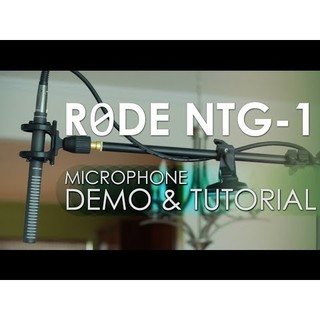 Microphone Rode NTG1