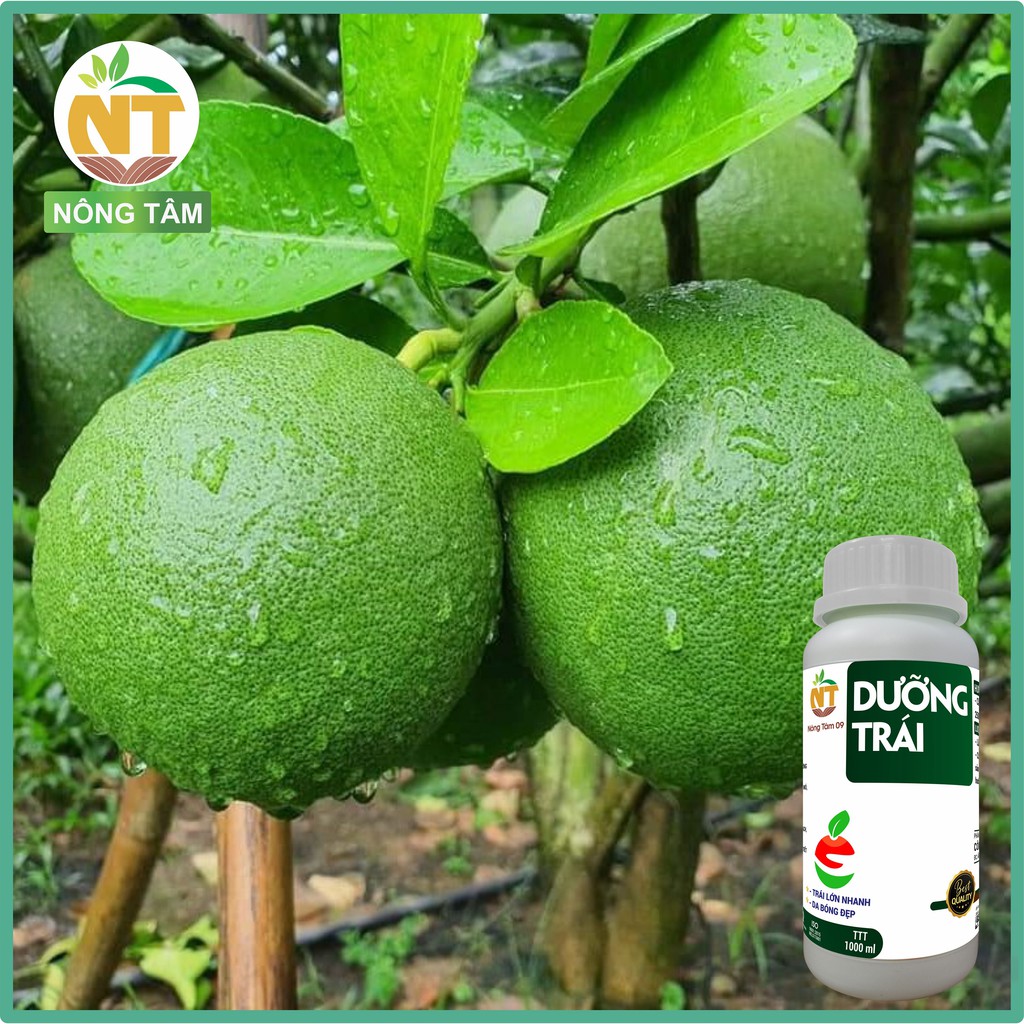 Phân bón siêu dưỡng trái Mix One chuyên dùng cho cây ăn trái, cây công nghiệp, chai 1000ml