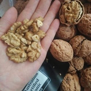 Quả óc chó nêpa vỏ mỏng
