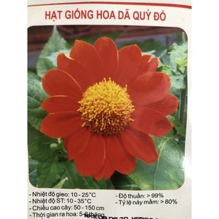 Hạt giống Hoa Dã Quỳ Vàng / Dã Quỳ Đỏ 💐