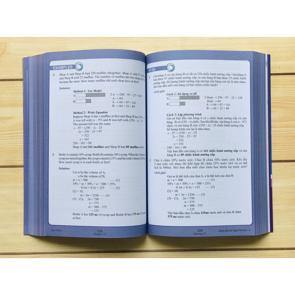 [Mã BMBAU50 giảm 7% đơn 99K] Sách - Đánh Thức Tài Năng Toán Học 05 - Toán lớp 5, lớp 6 ( 11 -13 tuổi )