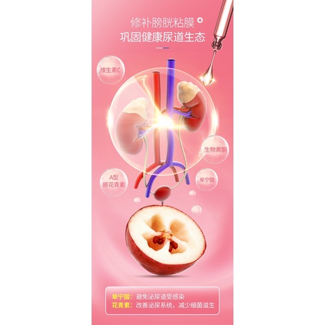 Bột InKat Hỗ trợ tiết niệu Bổ thận cho mèo chiết xuất việt quất Surica IN09 (1gx15gói)