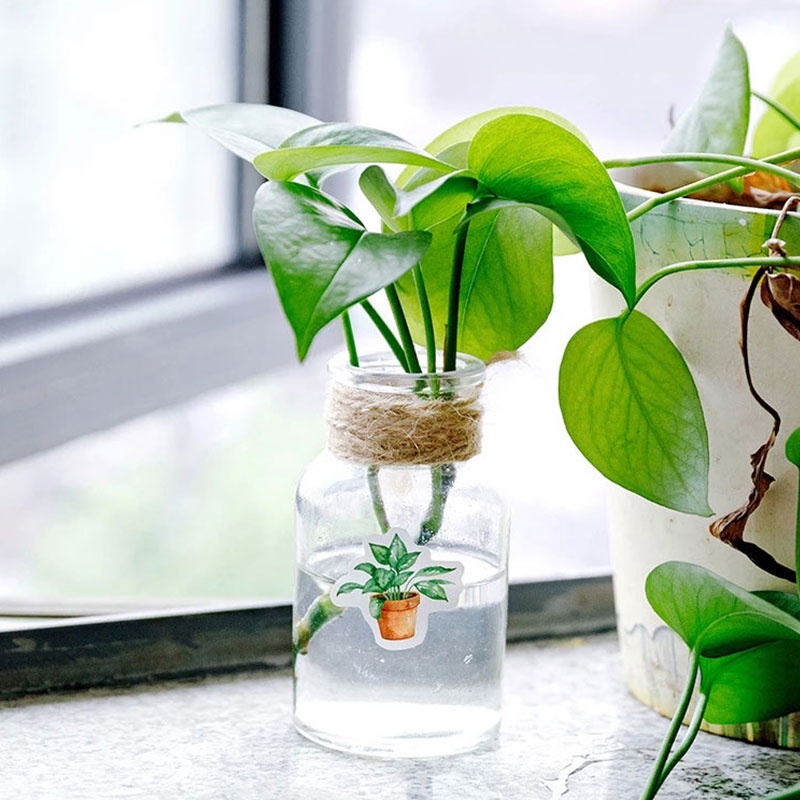 Set 45 miếng dán Washi hình chậu cây dùng trang trí