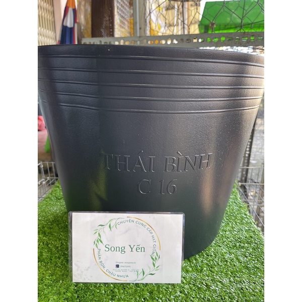 50 chậu c16 loại tốt dày