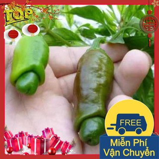Combo 2 Gói Hạt Giống Ớt Cu Tý