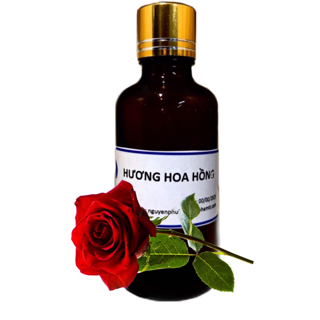 Hương hoa hồng