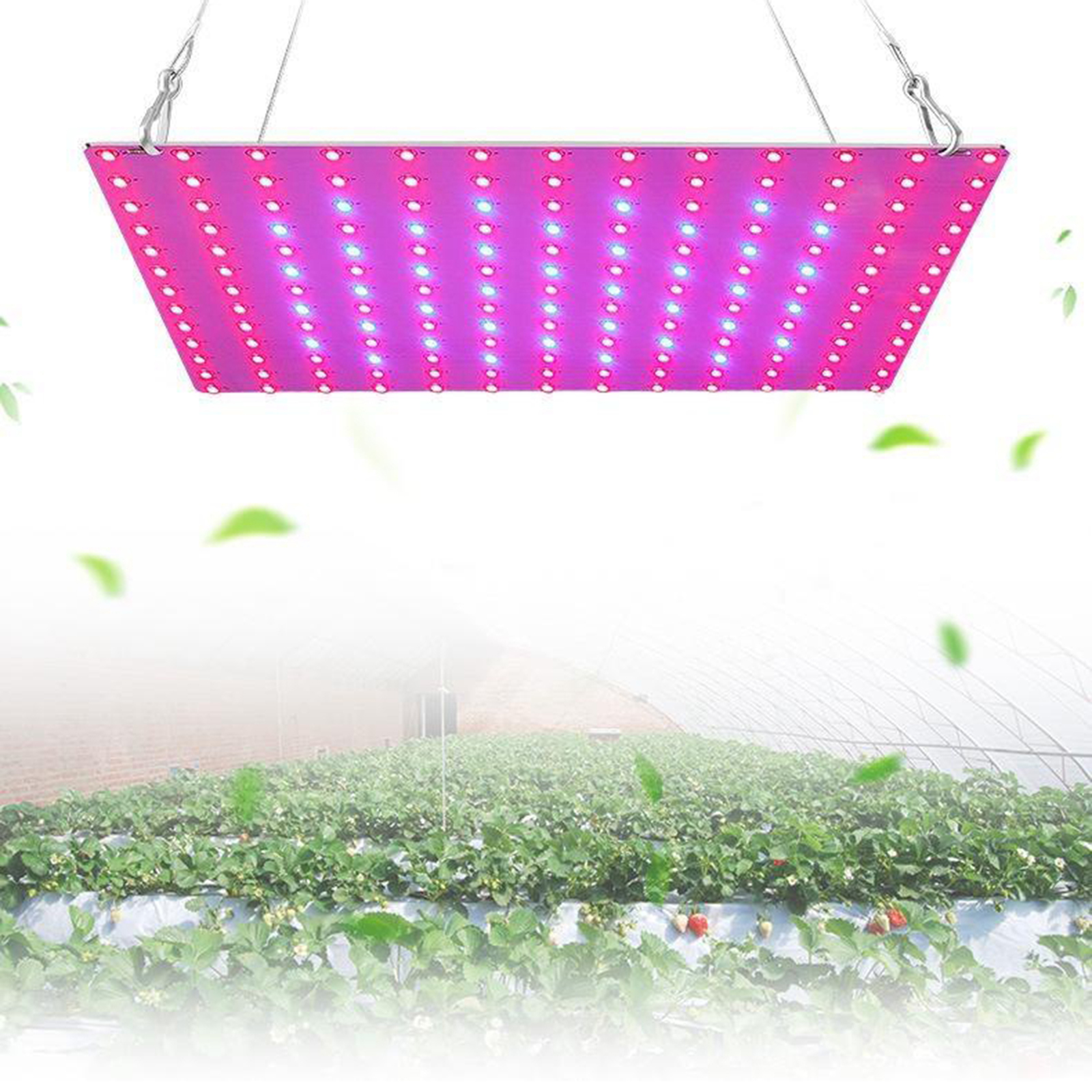 Bubble Shop61 LED Grow Light Plant Lights Red Blue Panel Growing Lamps for Plants