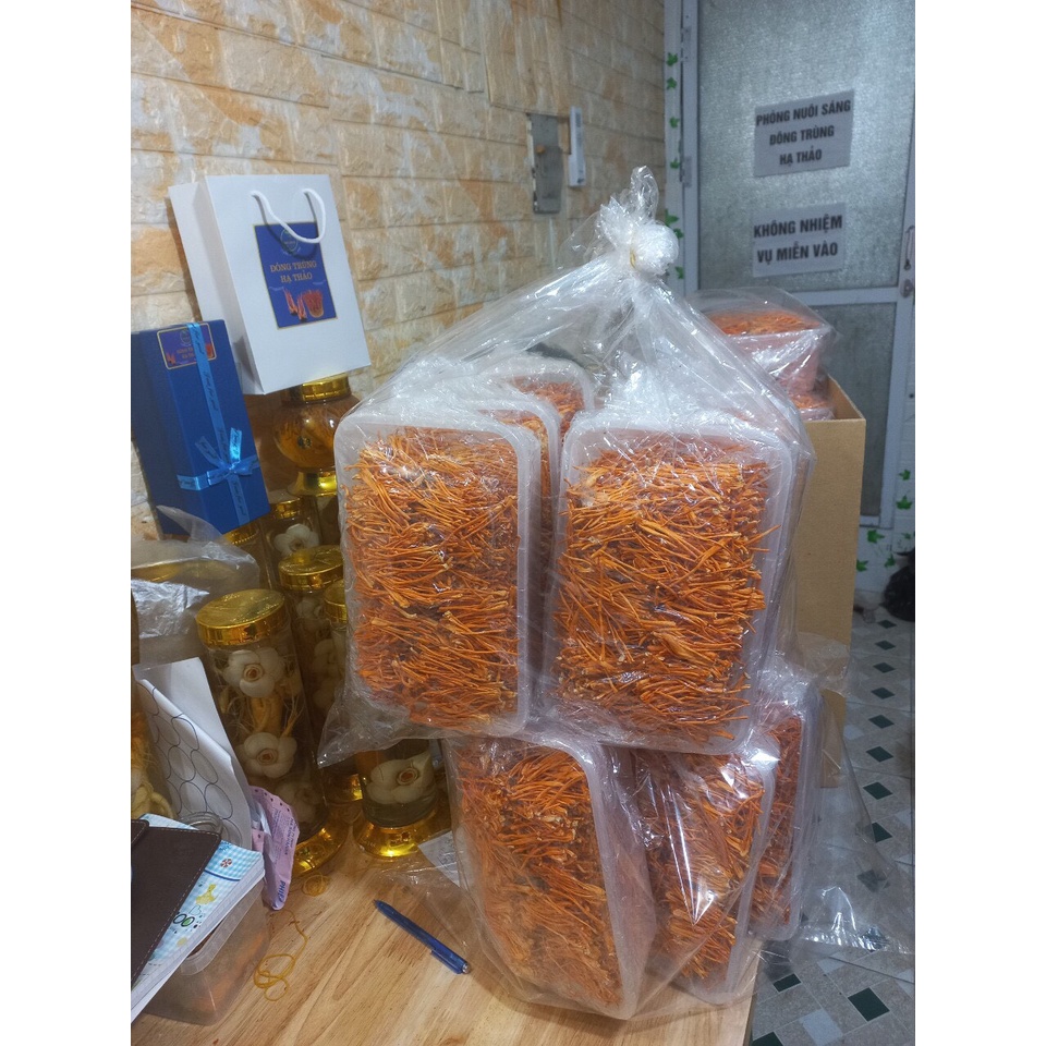 Đông Trùng Hạ Thảo Bio Gold  Sấy Khô Sợi To  Ngon Hàng Cao Cấp Bồi Bổ Cơ Thể