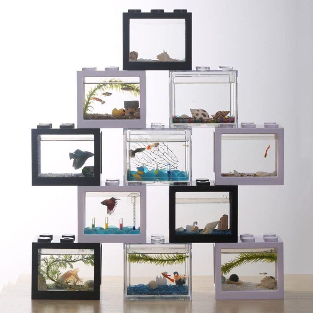 Hộp Nuôi Cá / Rùa Hình Trụ Cổng USB