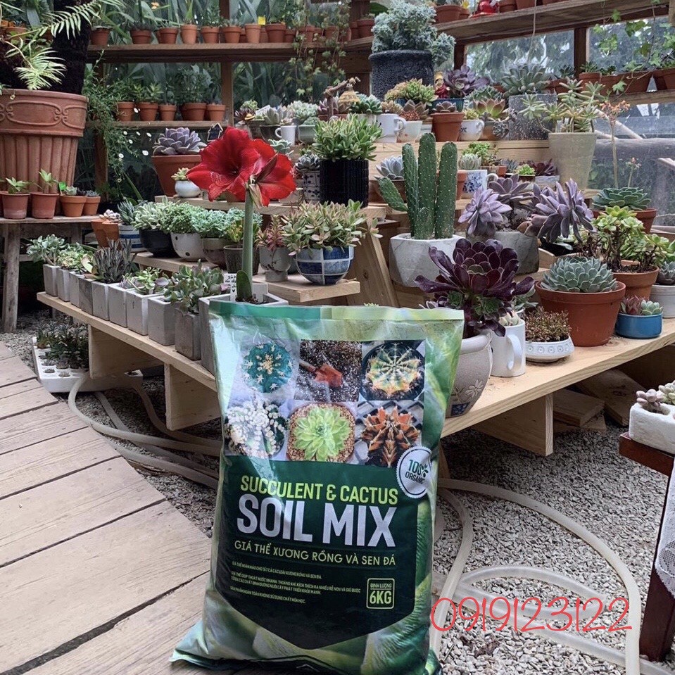 6kg Soil Mix Đất Trồng Sen Đá Xương Rồng Giá Thể trồng cây
