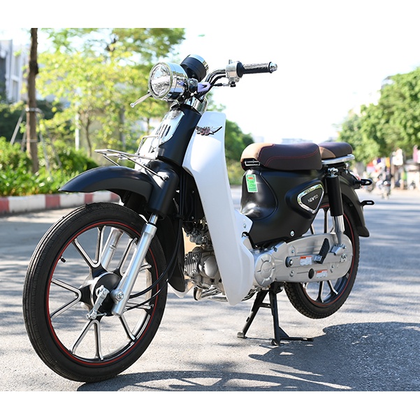 Xe số 50cc Cub 81 Ally New - vành đúc - 2021