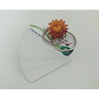 500 thẻ flashcard trắng kích thước 3,5x8 cm học từ vựng tiếng anh