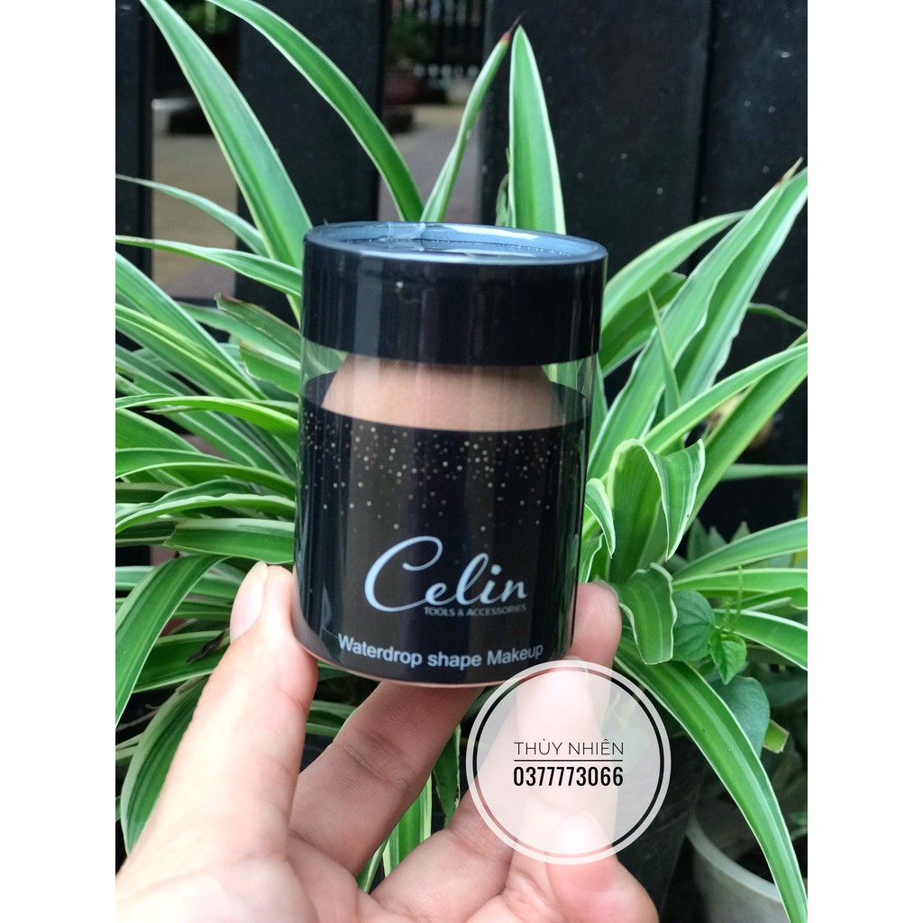 Mút tán nền Celin
