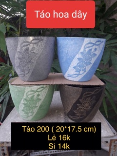 Combo  800 chậu C6 + 100 chậu C10