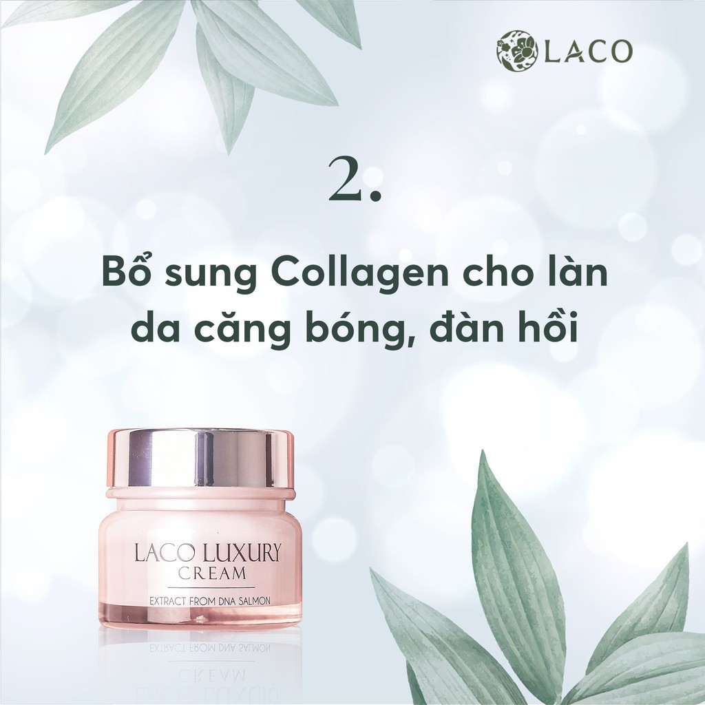Kem dưỡng da Laco Luxury Cream, kem ngày chống nắng, bật tone da, làm mờ nám và chống lão hóa 30gram - LAVAHA SHOP | BigBuy360 - bigbuy360.vn