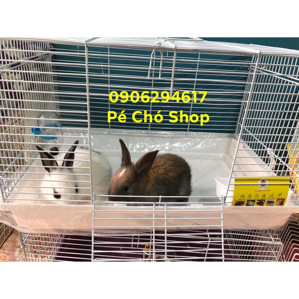 Lồng size đại  và  cho sóc,thỏ,bọ,nhím,hamster có phụ kiện.