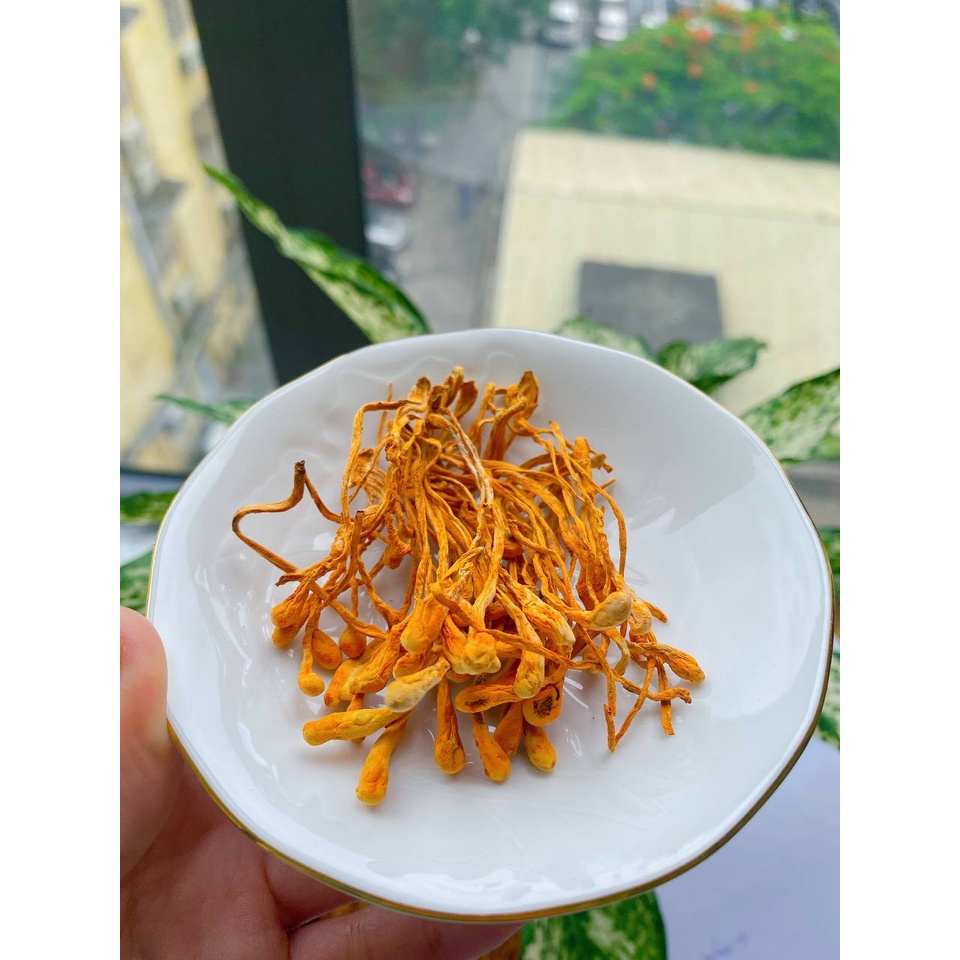 Đông trùng hạ thảo thương hiệu Mộc Hương Sơn loại sấy khô 50gr