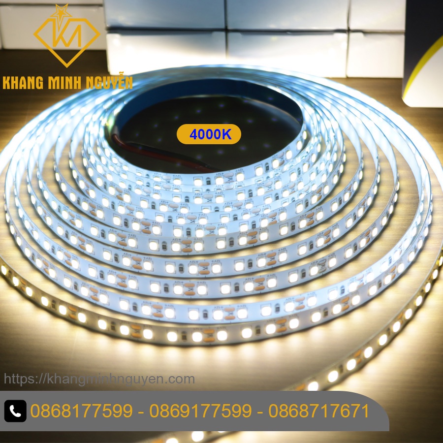 【Giá cả cuộn 5m】120 Led/mét Đèn LED dây dán 12V 2835 - có keo - màu trắng - vàng - trung tính, trang trí tủ kệ nội thất | BigBuy360 - bigbuy360.vn