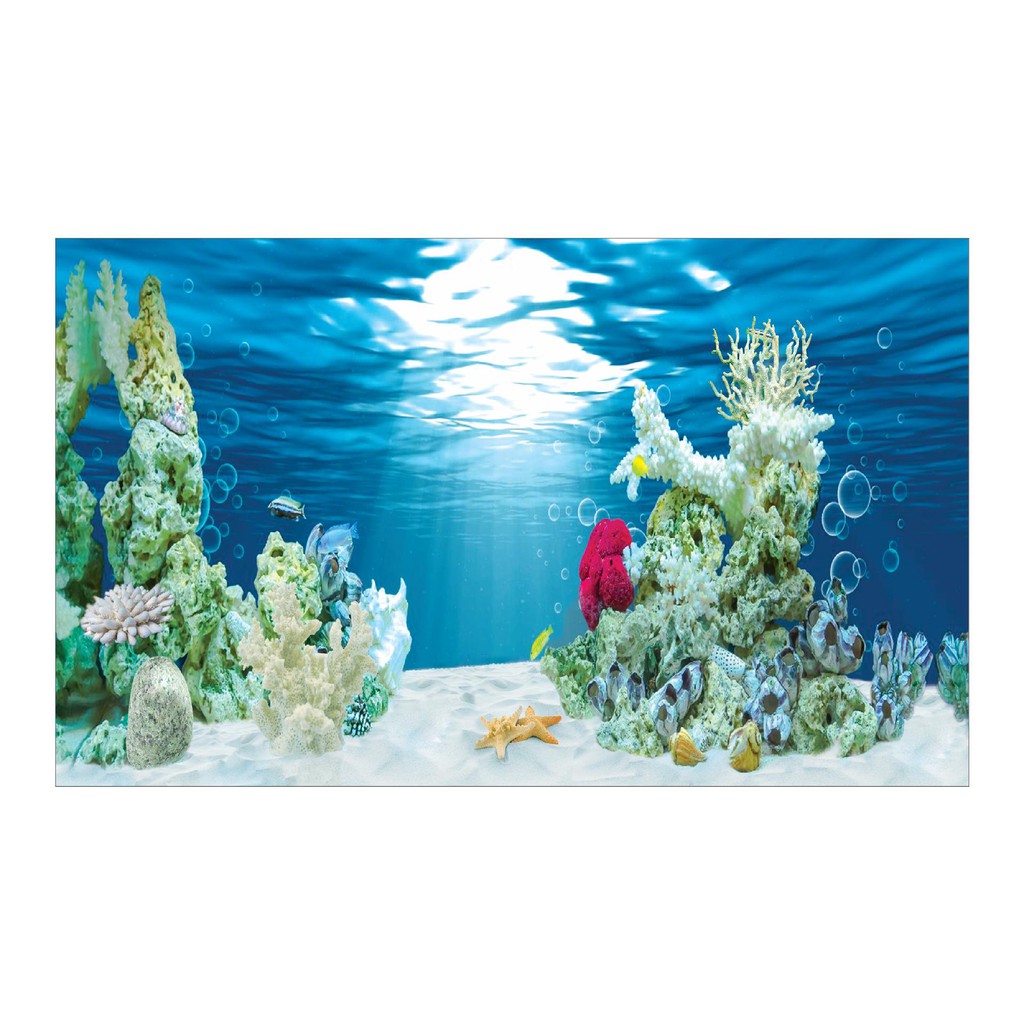 DECAL DÁN HỒ CÁ NHIỀU KÍCH THƯỚC_THIẾT KẾ NÀNG THƠ