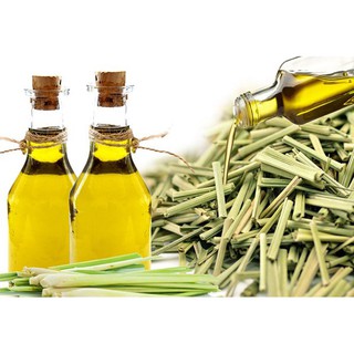 01 HỘP NỤ ĐUỔI MUỖI thành phần 100% cây THẢO DƯỢC - GIẤY TỜ PHÁP LÝ ĐẦY ĐỦ