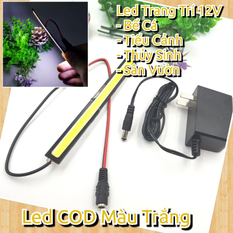 Đèn LED COB 12V Chiếu Sáng Bể Cá Máy Tính Hồ Thủy Sinh, Đèn Trang Trí Tiểu Cảnh