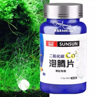 Co2 dạng viên nén cho hồ thủy sinh