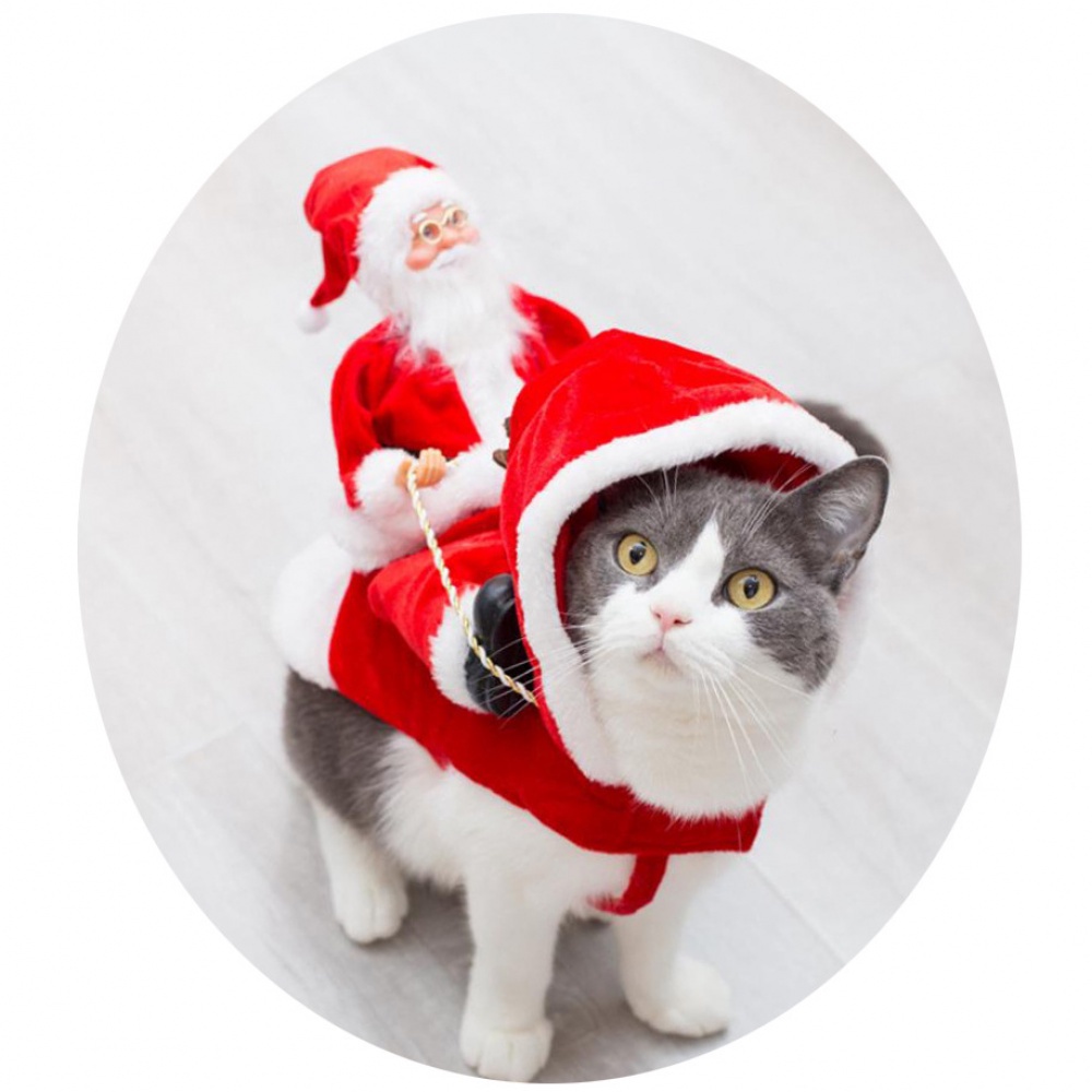 Thú cưng Quần áo Giáng sinh cho Chó lớn Nhỏ Trang phục Ông già Noel Cưỡi Quần áo Mèo Giáng sinh