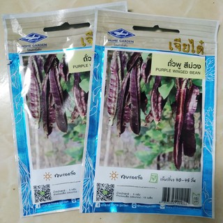 HẠT GIỐNG ĐẬU RỒNG TÍM THÁI LAN
