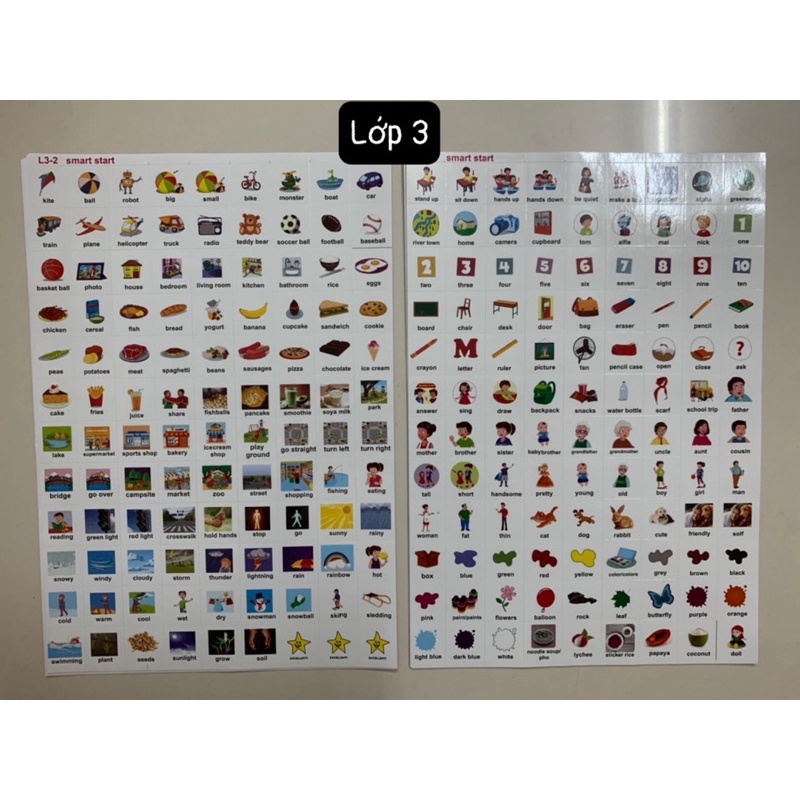 Sticker Từ vựng tiếng anh Smart start lớp 1 đến lớp 5 chuẩn chương trình BGD