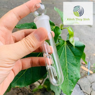 Bẫy bắt sán thủy tinh trong suốt ( Bắt sán gây hại, gây mất thảm mỹ cho bẻ thủy sinh, cá cảnh, tép cảnh )