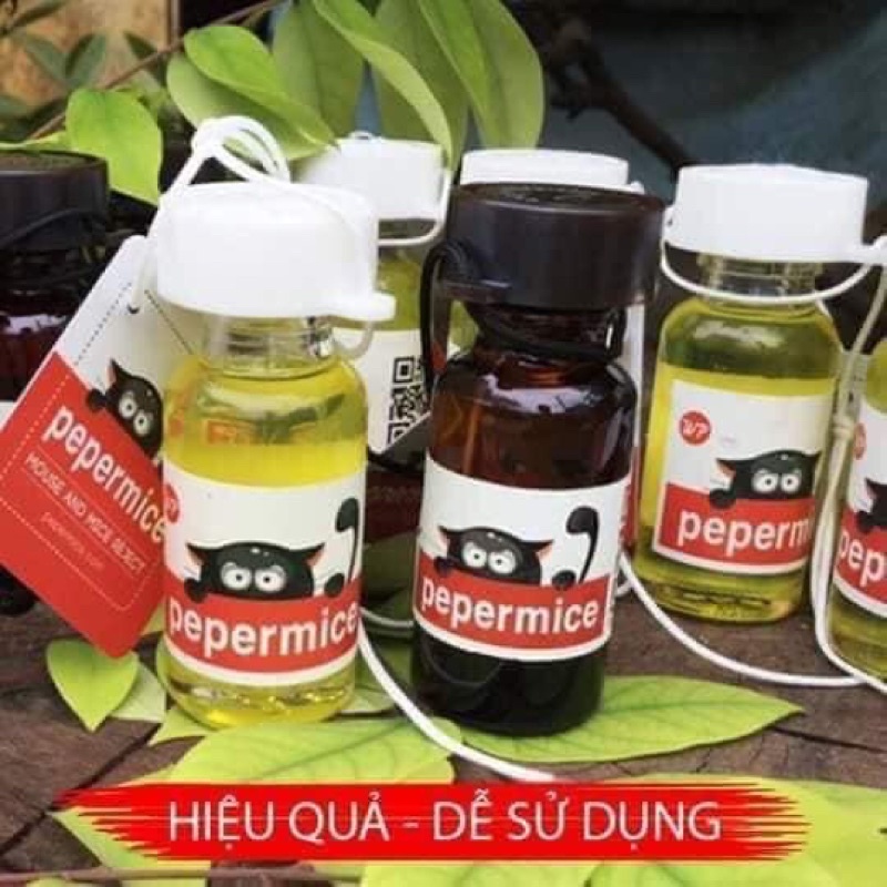 Tinh dầu chống chuột khoang máy ô tô