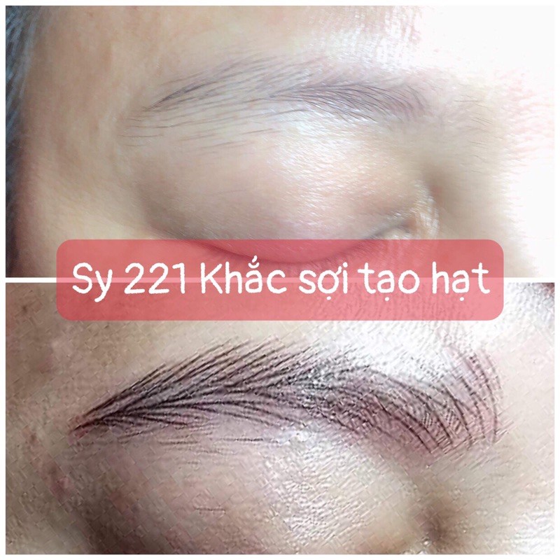 Mực Xăm Hữu Cơ SyFREESHIPMực Xăm Môi Mày Mí Cỡ Nhỏ 5mlUSA