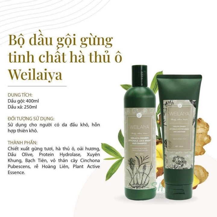 Dầu Gội Weilaiya Chính Hãng Gừng Thảo Dược Ngăn Rụng Tóc, Dầu Gội Đầu Wailaiya Cặp Gừng Ngừa Rụng Tóc N16