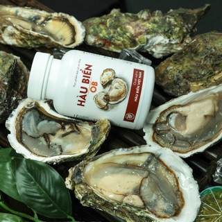 (Hot) HÀU BIỂN OB ( chính hãng 100%)