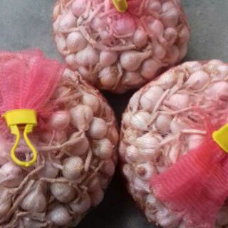 Tỏi 3 tép Lý Sơn 1.5 kg