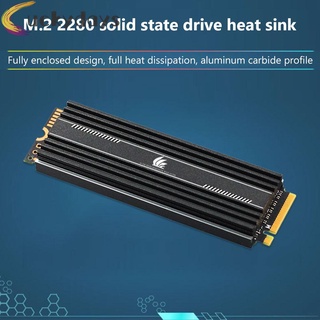 LUCKYDAYS M.2 SSD Heatsink Cooler M2 2280 Solid State Hard Disk Radiator Thermal Pad