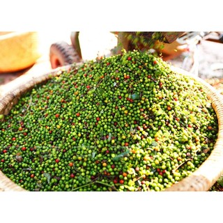 Hạt tiêu đen 500g