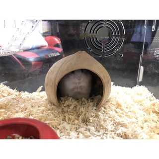 linh123 Mùn lót chuồng hamster tinh dầu hoa hồng