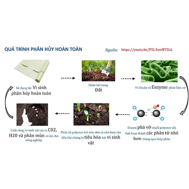 SET  túi làm từ bột ngô phân hủy sinh học hoàn toàn - Không nhựa 100% - Bảo vệ môi trường