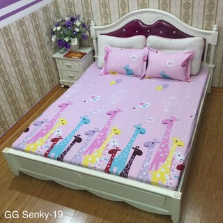 Bộ ga gối Cotton Poly