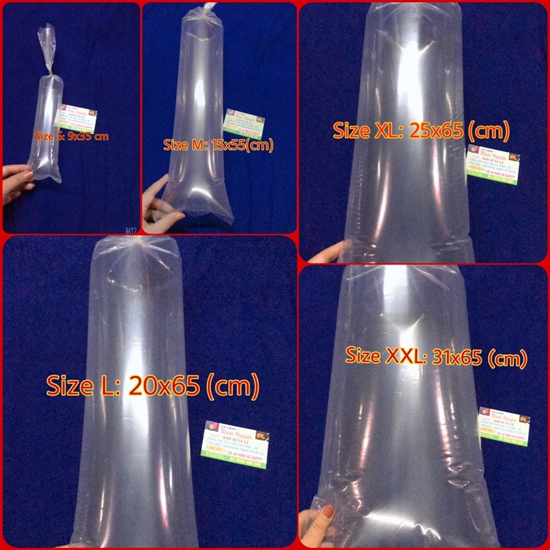 Combo 5kg bịch đóng cá siêu rẻ đủ size hàng có sẵn