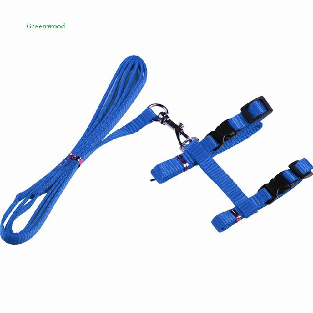 Dây đeo dắt mèo đi dạo thiết kế thoải mái