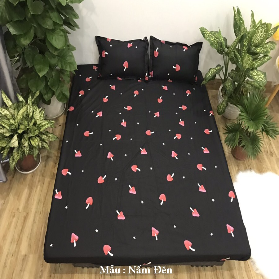 Bộ Ga gối Cotton Poly Emmidecor Các Mẫu Hoa