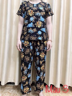 Bộ lanh tuổi trung niên