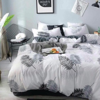Bộ vỏ chăn ga gối đũi nhập