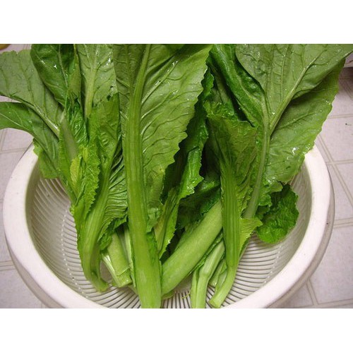 Hạt giống rau cải bẹ xanh mỡ xanh 15gr