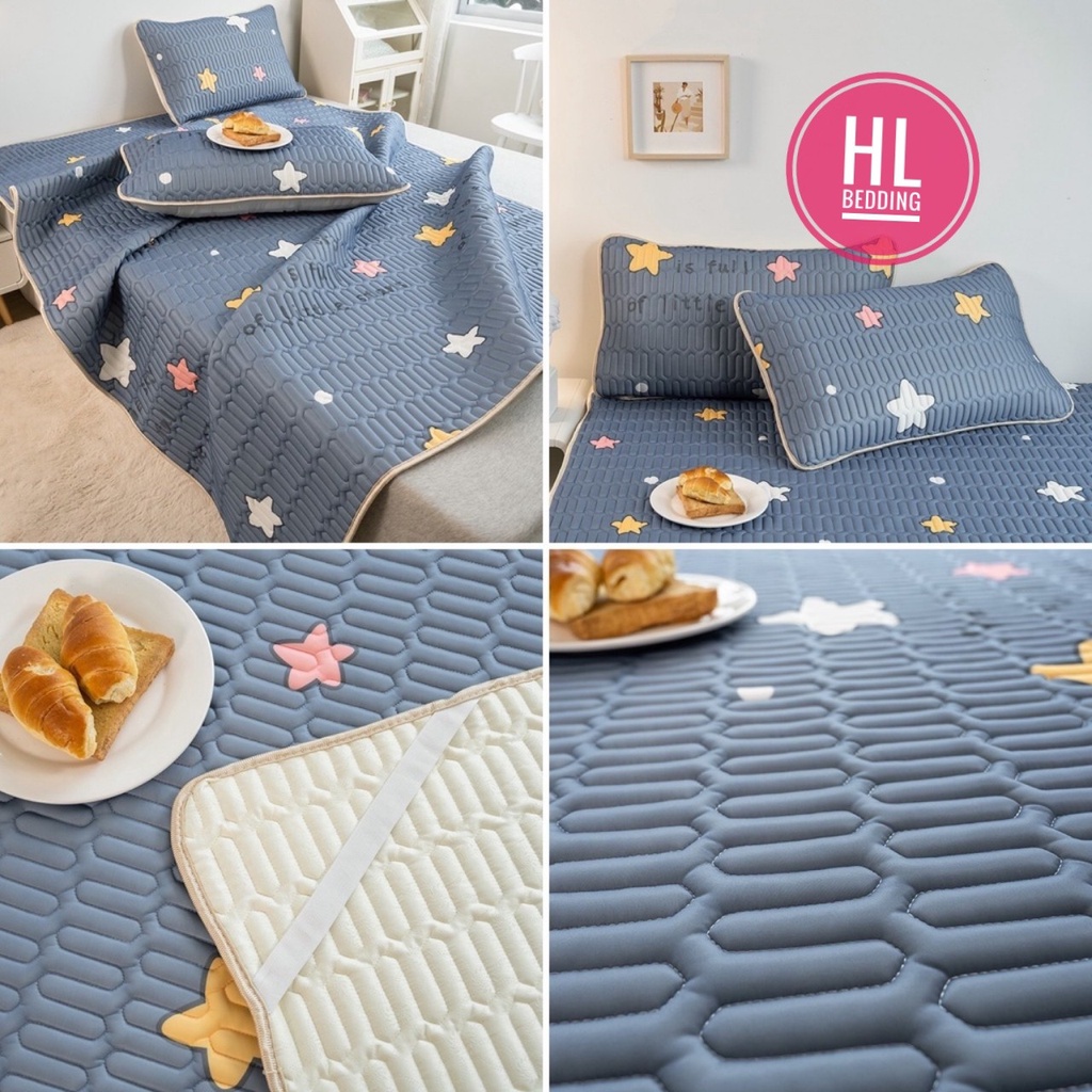 Chiếu điều hòa cao su non 5D HL Bedding vải lụa Tencel mát cao su non Latex mềm mịn đủ kích thước m6/m8/2m2