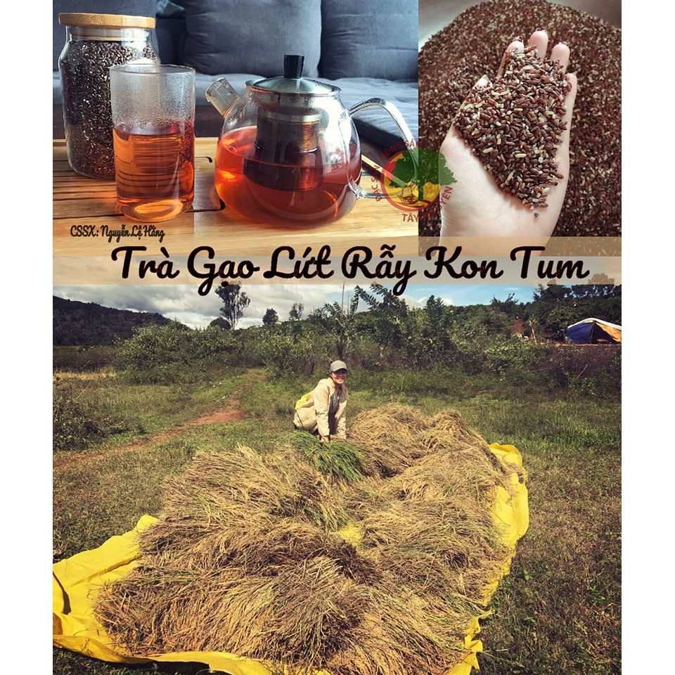 TRÀ GẠO LỨT RẪY | BigBuy360 - bigbuy360.vn