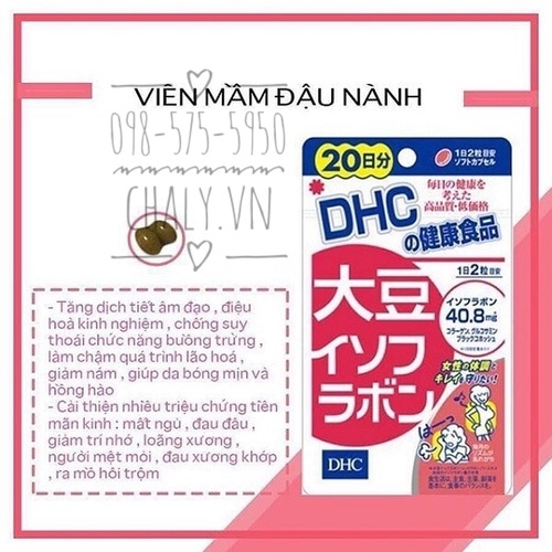 Viên uống mầm đậu nành điều hoà nội tiết sinh lý DHC Soy Isoflavone Absorption Type 40 viên Nhật